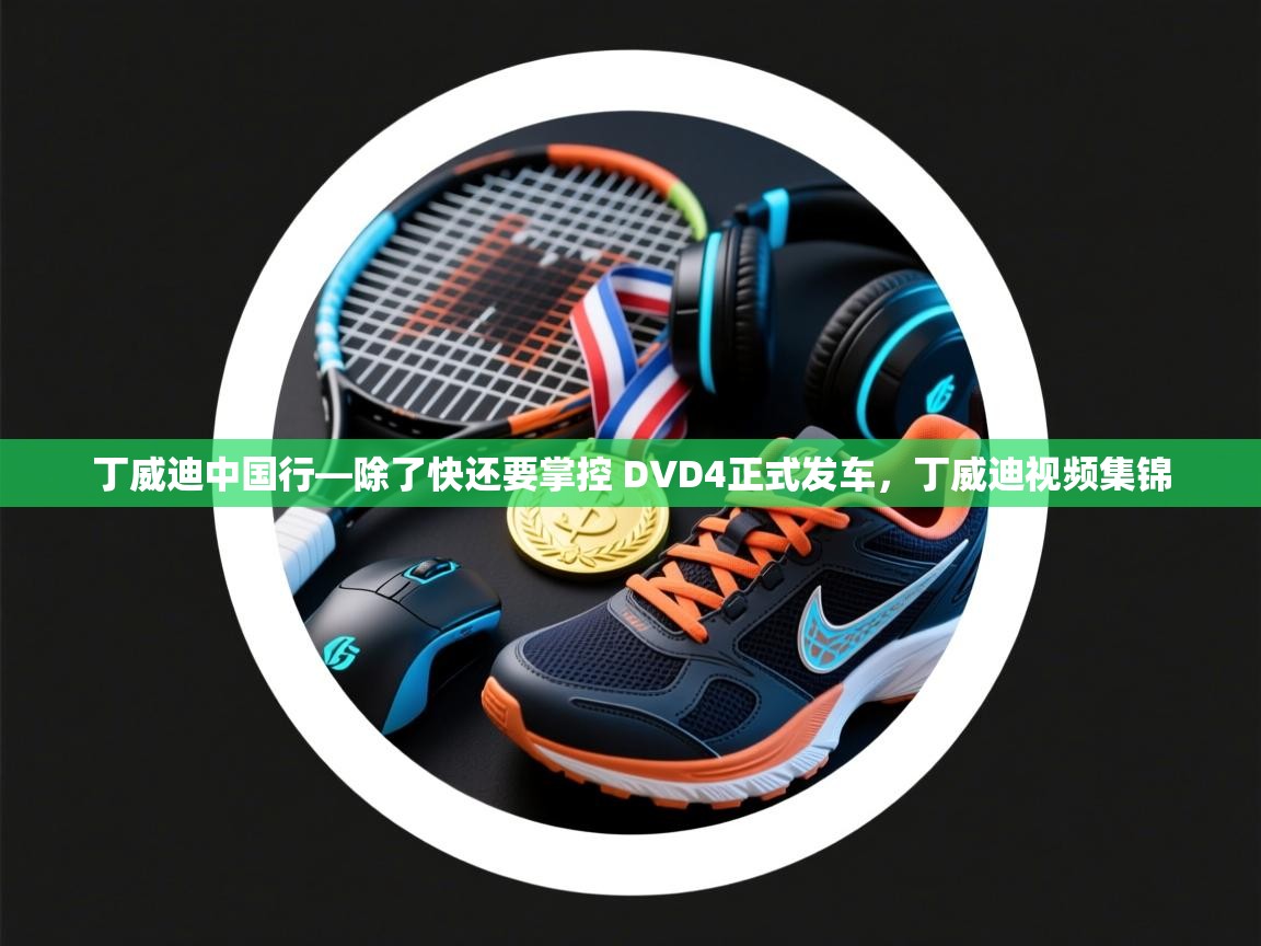 丁威迪中国行—除了快还要掌控 DVD4正式发车，丁威迪视频集锦  第1张