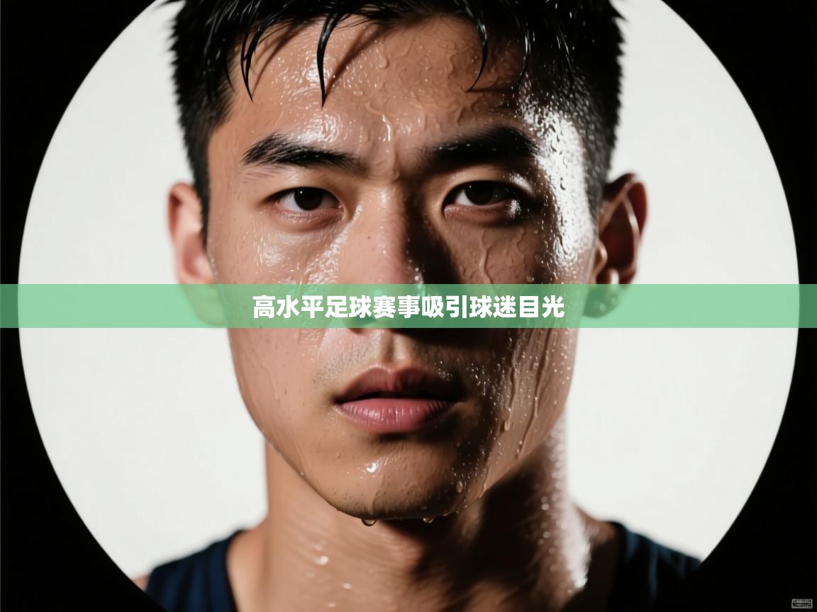 高水平足球赛事吸引球迷目光  第2张