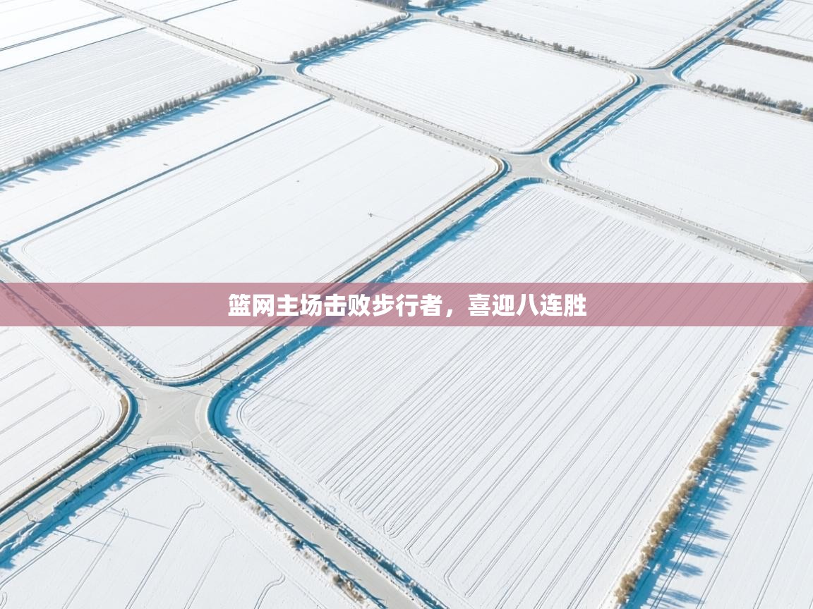 篮网主场击败步行者，喜迎八连胜  第1张